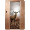 Дверь для сауны DoorWood (Дорвуд) 70x190 Классика Фотопечать A080, левая, коробка хвоя