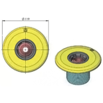      Idrania Multiflow,  2