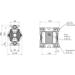     Debem MICROBOXER PP IMICRP-MTAPDX