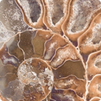   Serapool  Fossil Mix F07 3333 