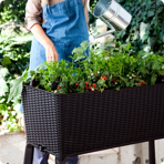     Keter EASY GROW,   