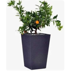  () Keter Rattan Planter S  23,6L, 