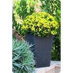   () Keter Rattan Planter S  23,6L, 