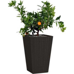   () Keter Rattan Planter M 55,4L,  