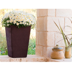   () Keter Rattan Planter S 23,6L,  