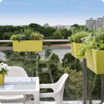   () Lechuza () Balconera Color 50 -