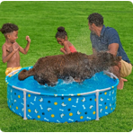     Bestway  Fetchin' Fun Pet Play Pool 561KM,  122x30,5 